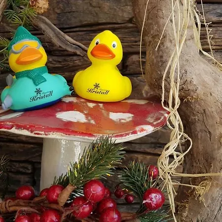 Kristall 3* Schladming